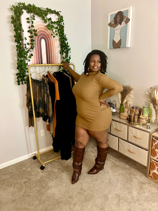 Brown Mini Long Sleeve Dress